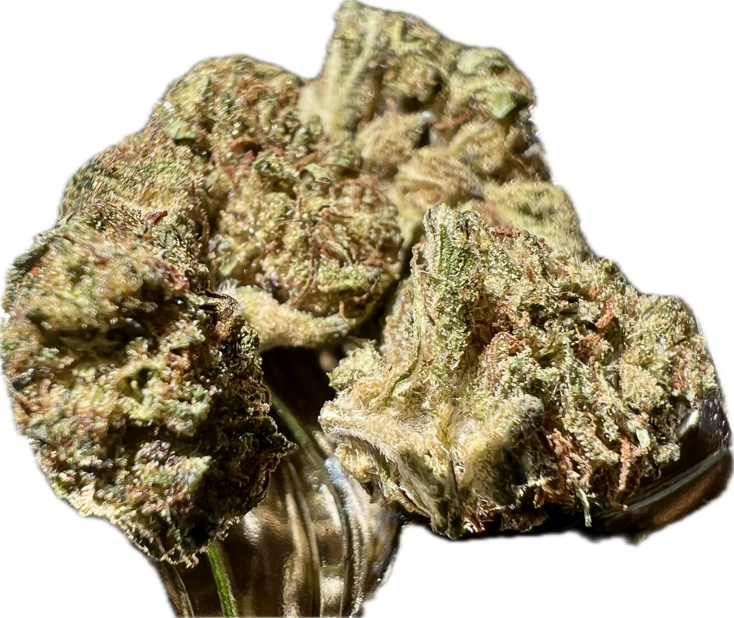 Ripkitty Legendary Kush CBD Hemp Flowers