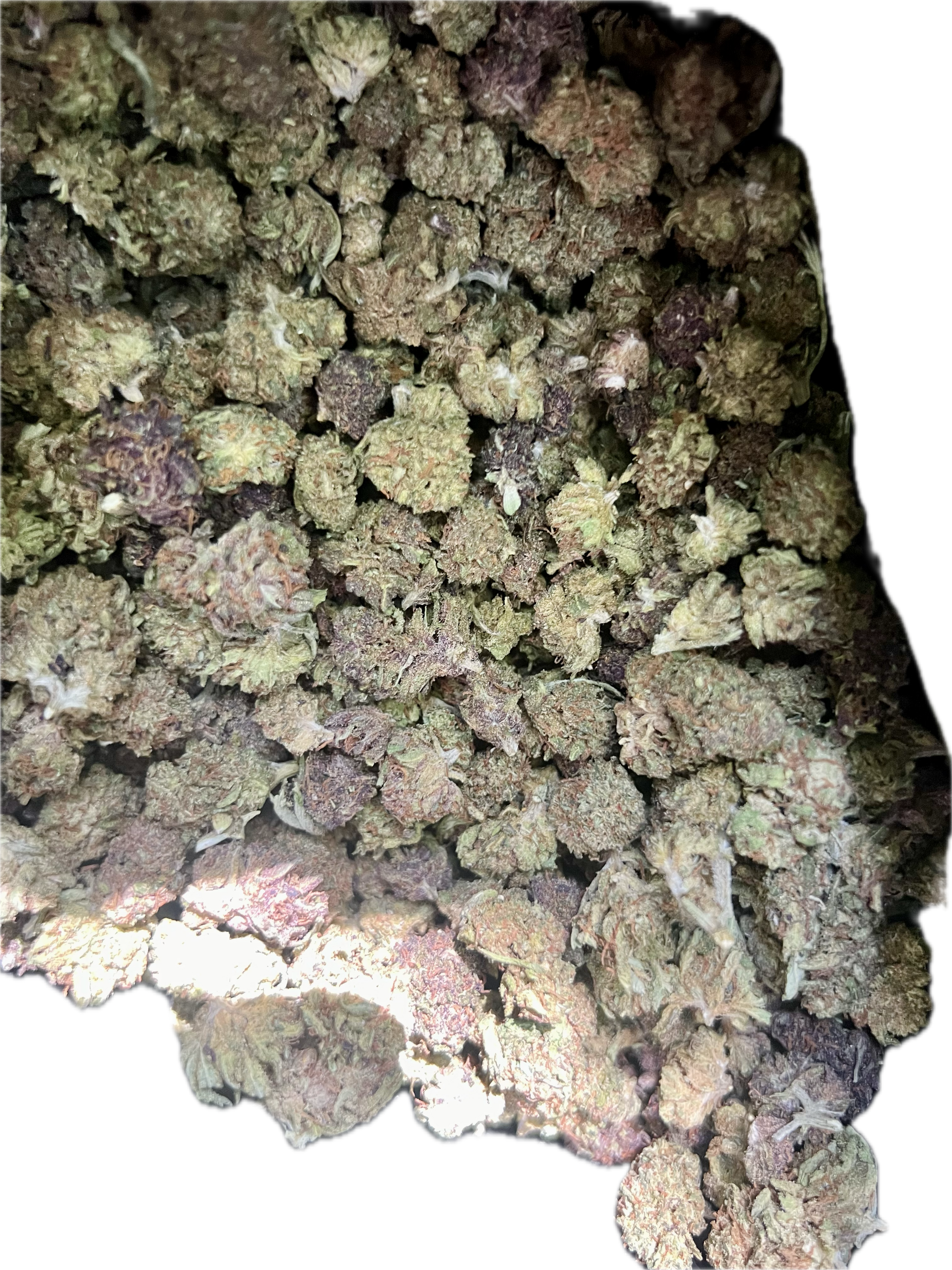 Ripkitty Legendary Kush CBD Hemp Flowers