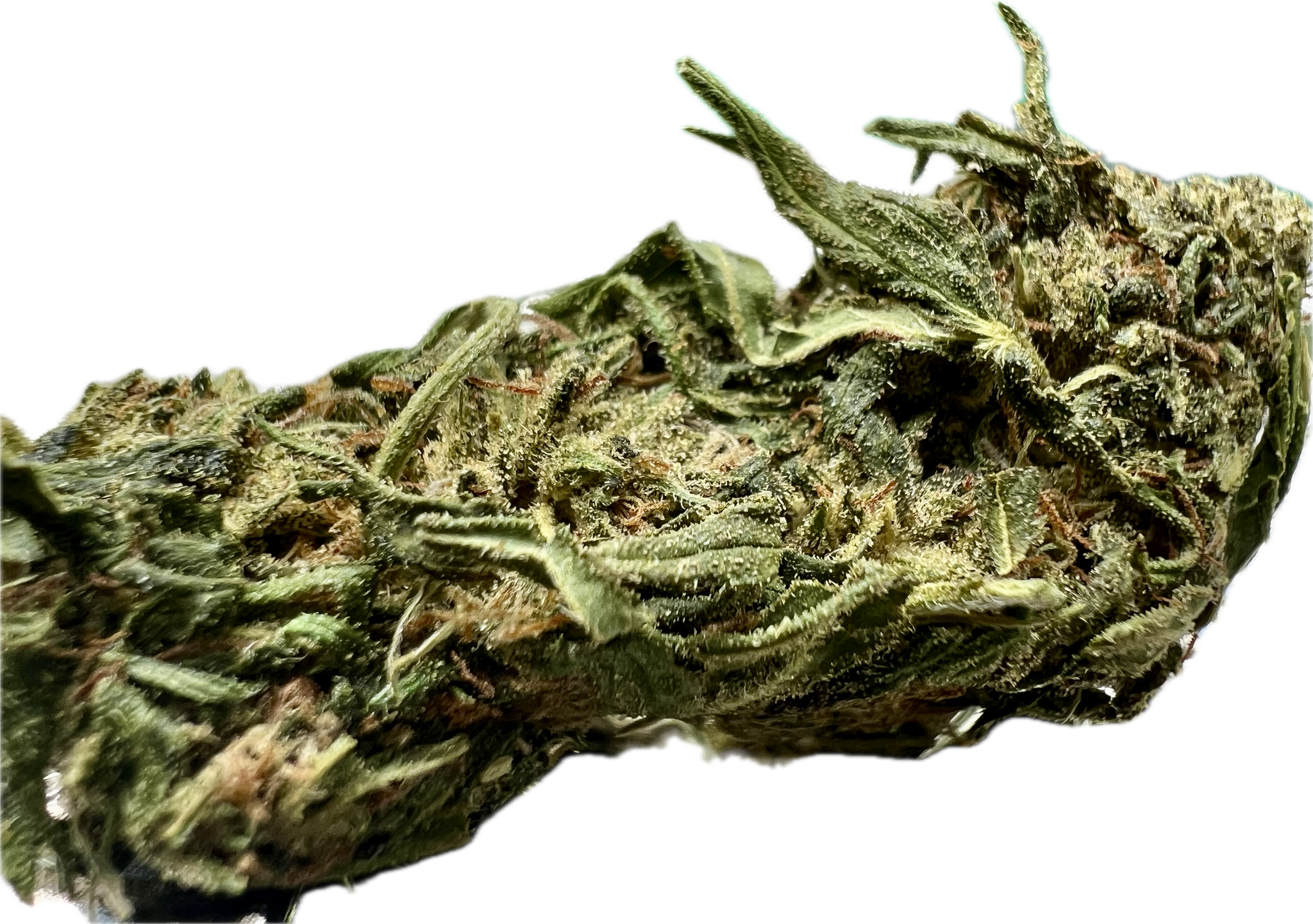 Ripkitty Forbidden V CBD Hemp Flowers