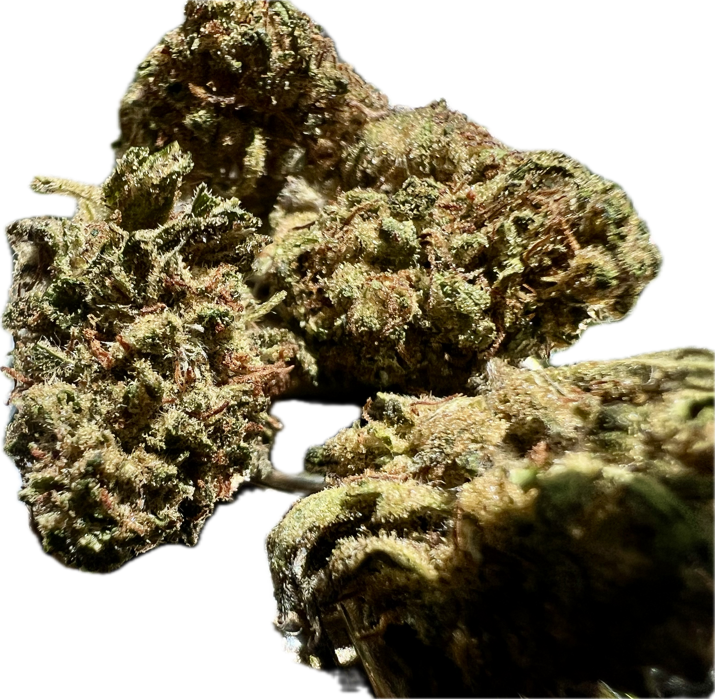 Ripkitty Legendary Kush CBD Hemp Flowers