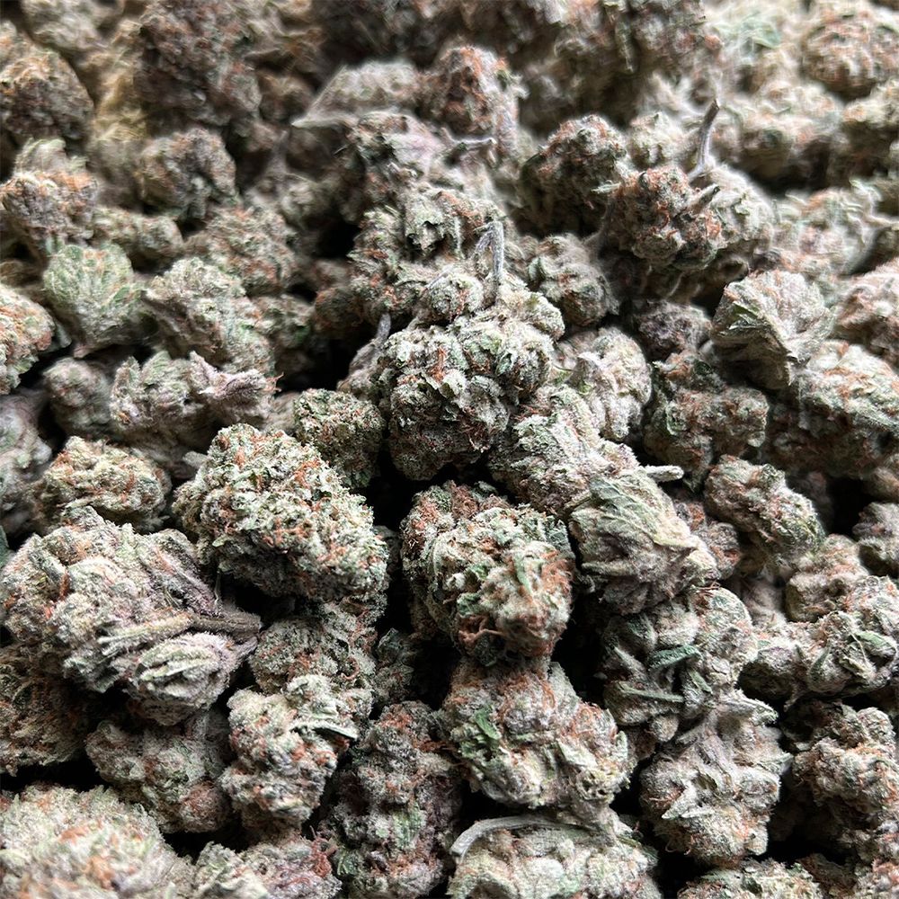 Canvast Premium Indoor THCA Flower | 3.5g