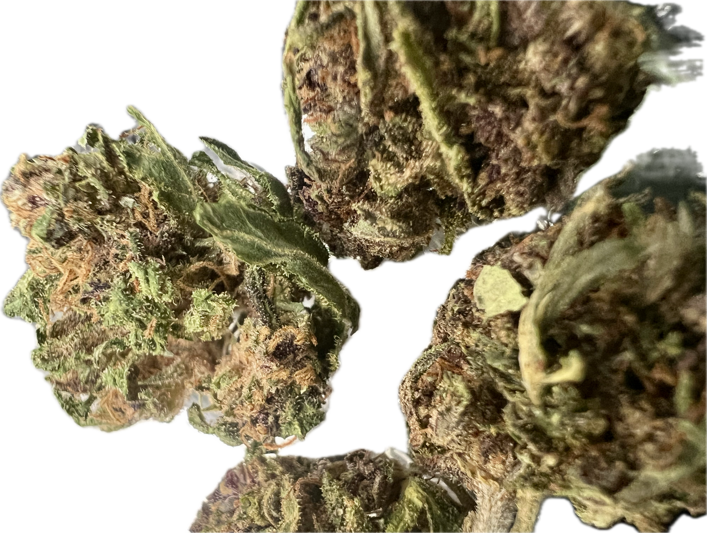 Ripkitty Legendary Platinum OG CBD Hemp Flowers