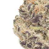 WNC CBD High THCA Indoor Hydro Flower | 3.5g