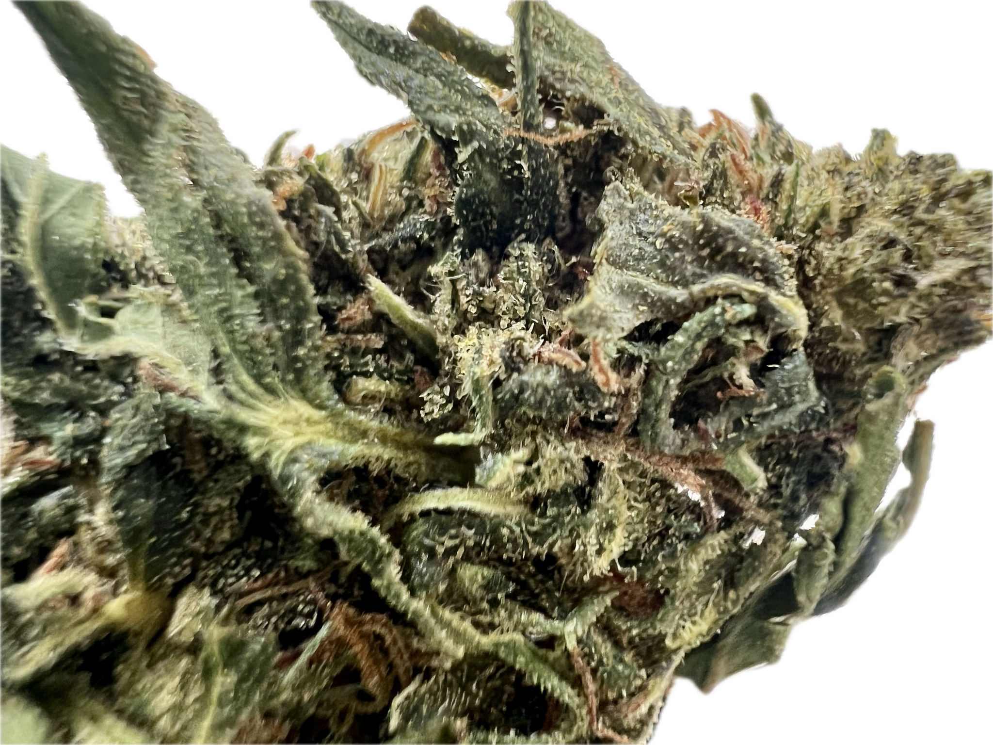 Ripkitty Forbidden V CBD Hemp Flowers