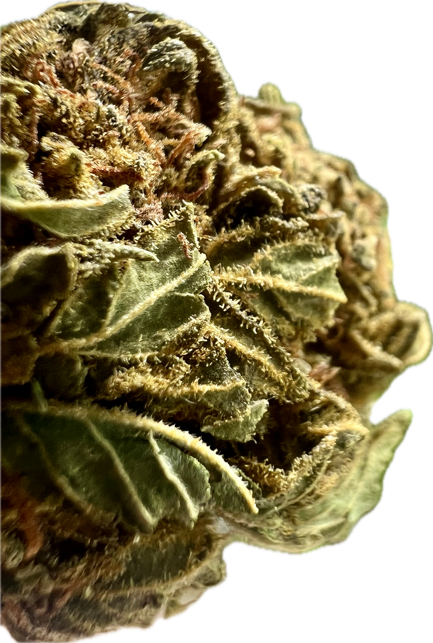 Ripkitty Crack Smuggler THCA Hemp Flowers