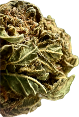 Ripkitty Crack Smuggler THCA Hemp Flowers