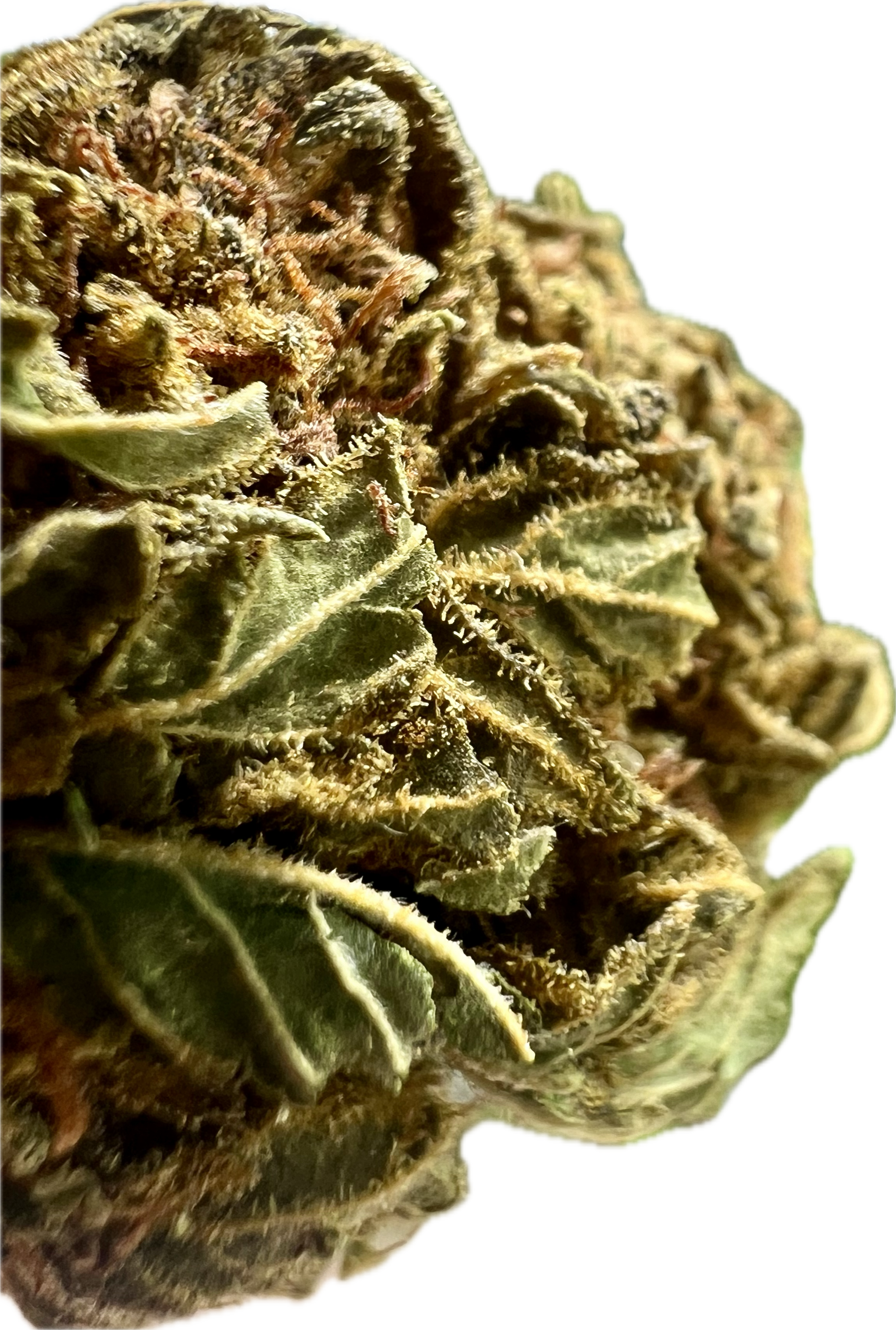 Ripkitty Crack Smuggler THCA Hemp Flowers