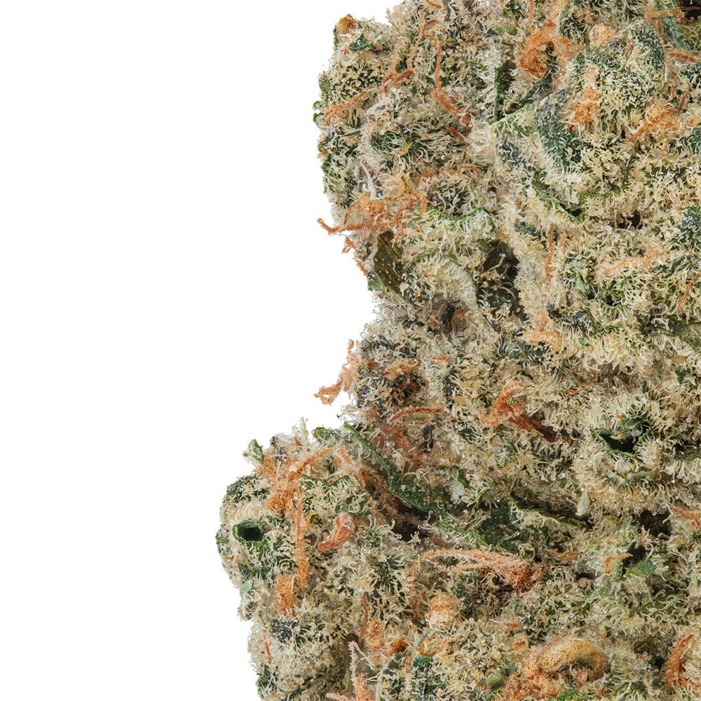 WNC CBD High THCA Indoor Living Soil Flower | 3.5g