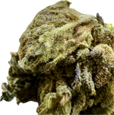 Ripkitty Mendo Breath THCA Hemp Flowers