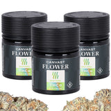 Canvast Premium Indoor THCA Flower | 3.5g