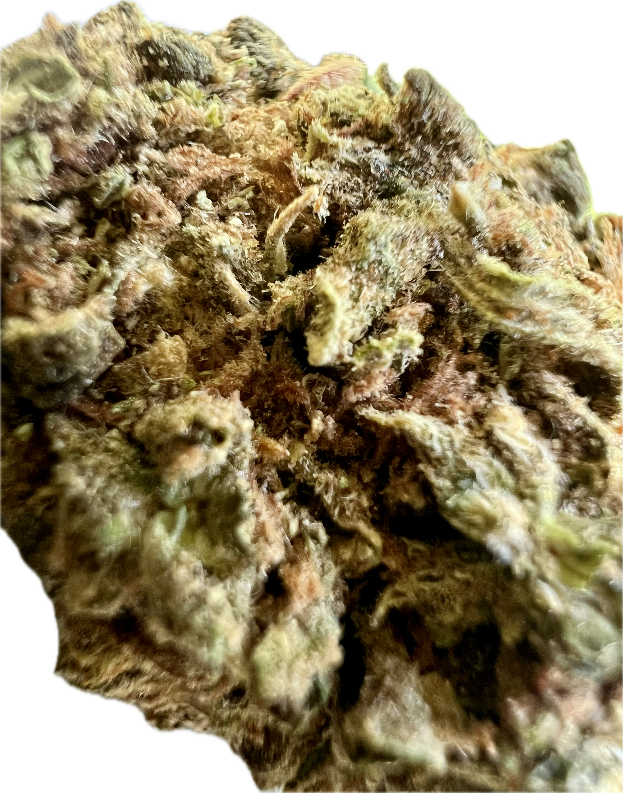 Ripkitty Runtz OG THCA Hemp Flowers