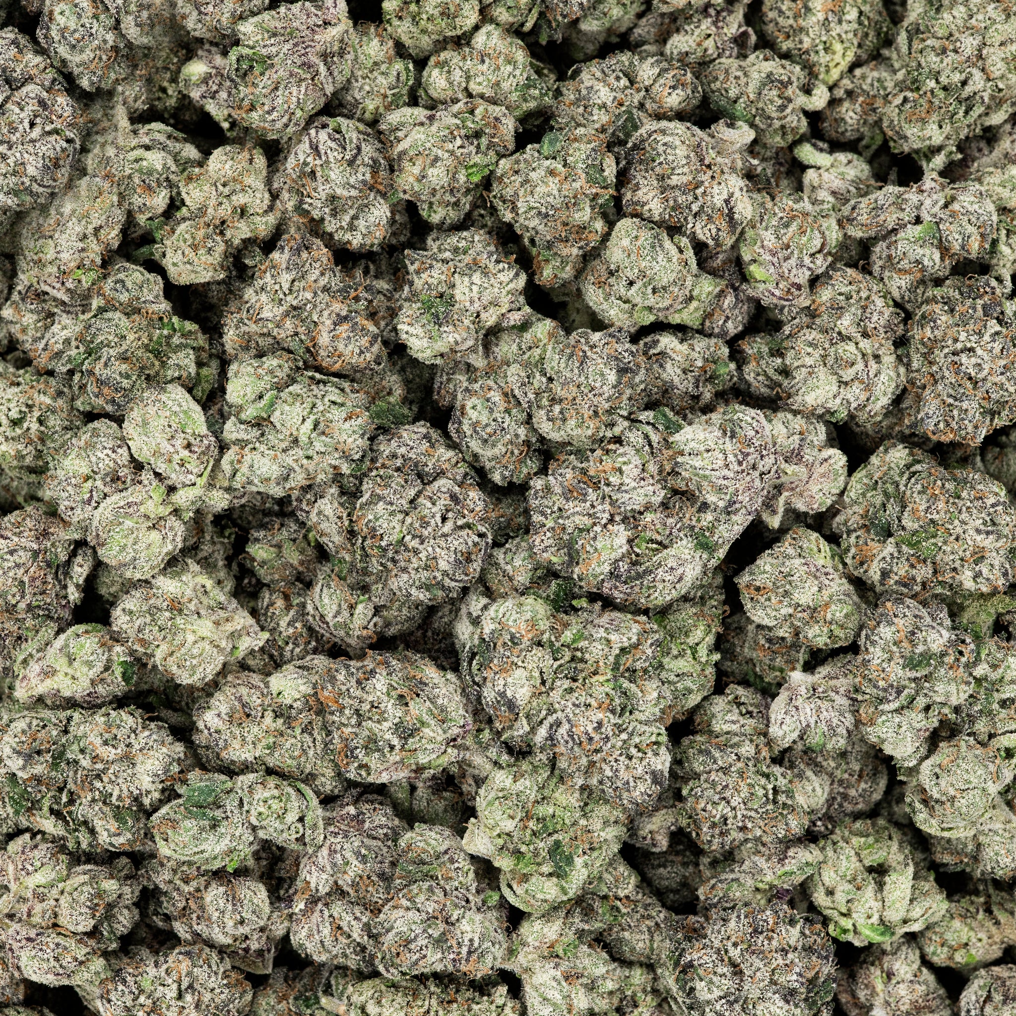 Revelry Frosted Runtz THCA Flower 3.5G