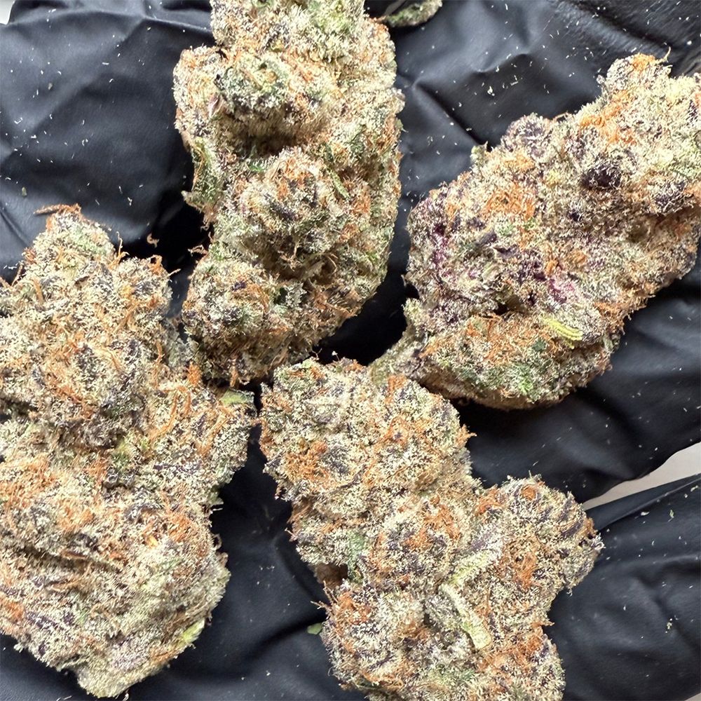 Canvast Premium Indoor THCA Flower | 3.5g