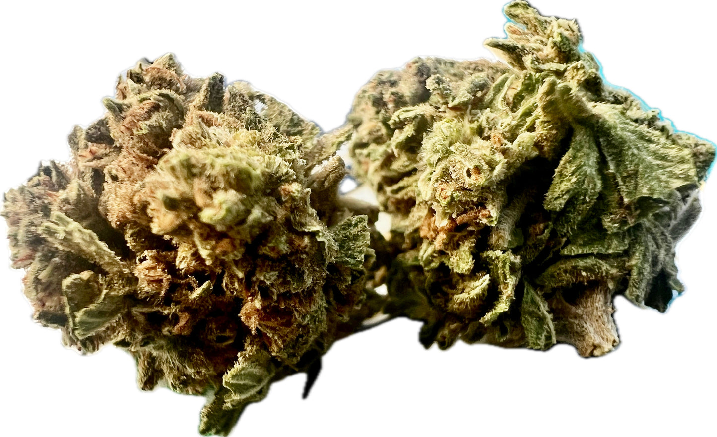 Ripkitty Gelato #33 THCA Hemp Flowers