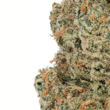 WNC CBD High THCA Indoor Living Soil Flower | 3.5g