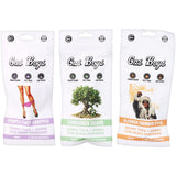 Gas Boys THCA Disposable Vape | 1g | 10ct Display