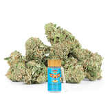 Revelry Passion Fruit Punch THCA Pre Rolls 7 Pack