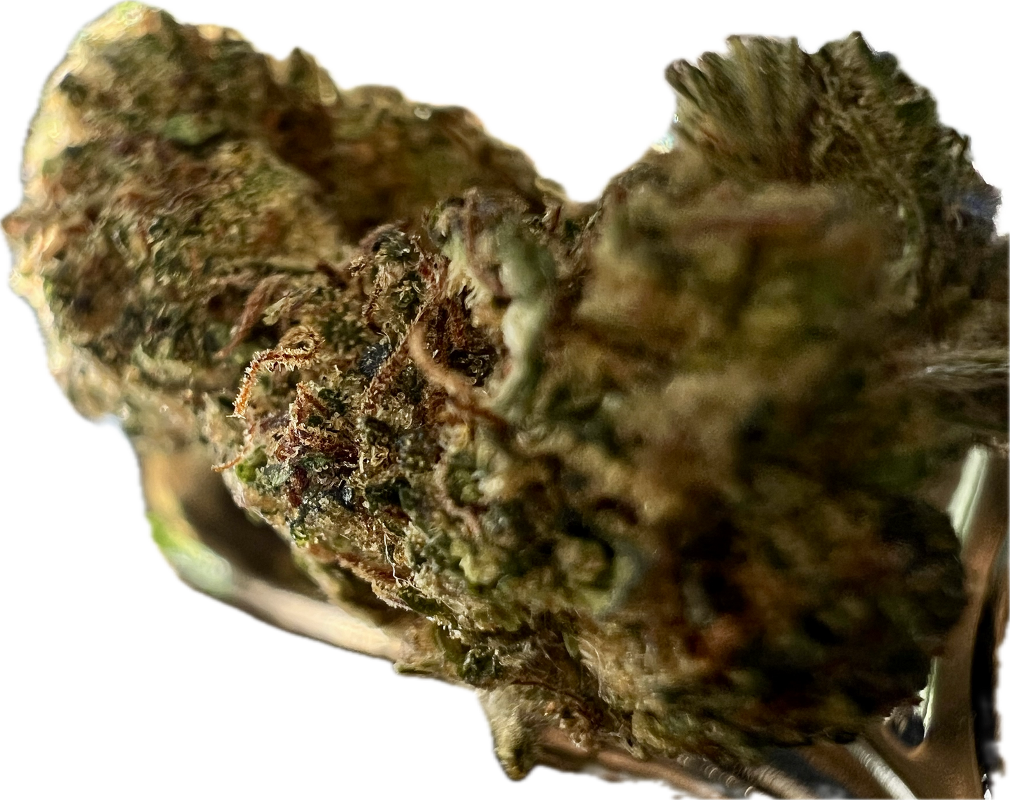 Ripkitty Legendary Kush CBD Hemp Flowers