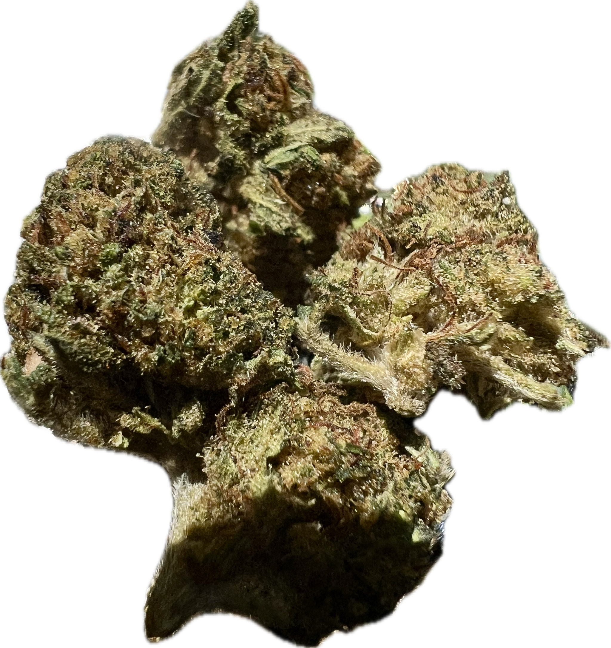 Ripkitty Legendary Kush CBD Hemp Flowers