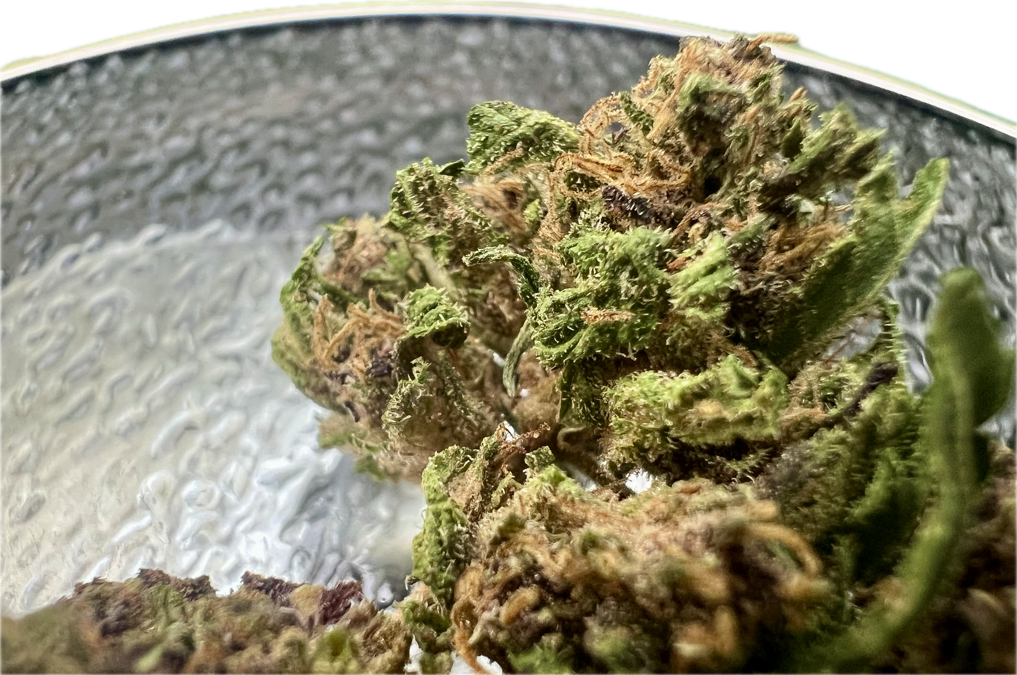 Ripkitty Legendary Platinum OG CBD Hemp Flowers